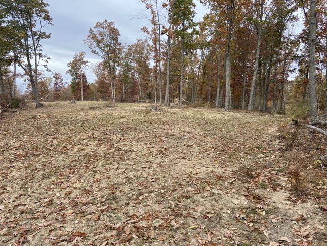 0 Mc Cord Hollow Rd, Home with 0 bedrooms, 0 bathrooms and null parking in Hohenwald TN | Image 24
