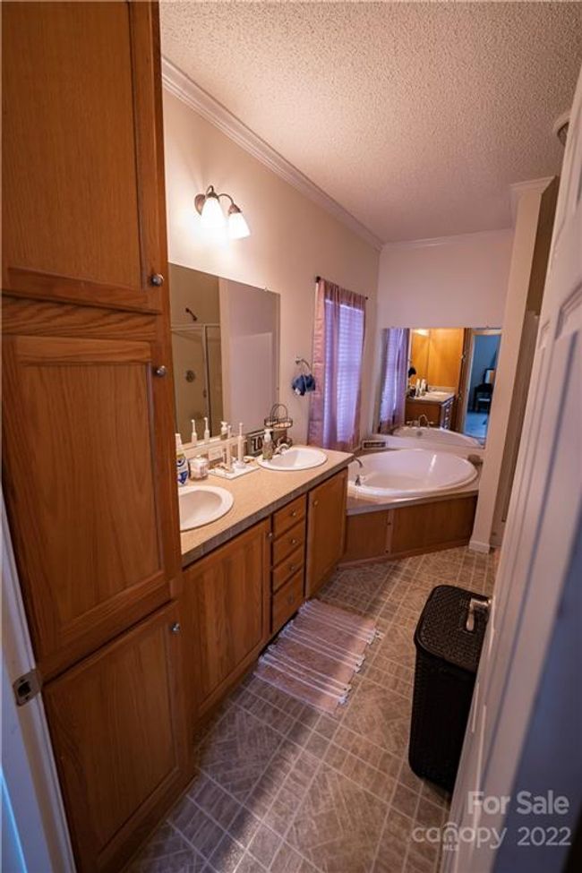 Master Bathroom view as you walk in. | Image 18