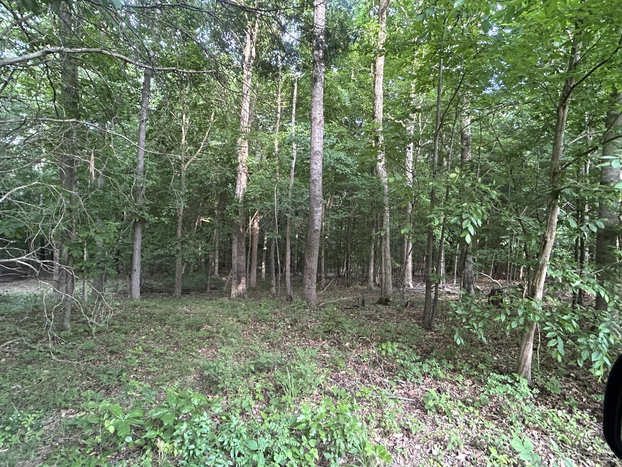 Land in Erin 2