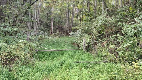 0 Rd 29 Big Sandy Road, Left Hand, WV, 25251 | Card Image
