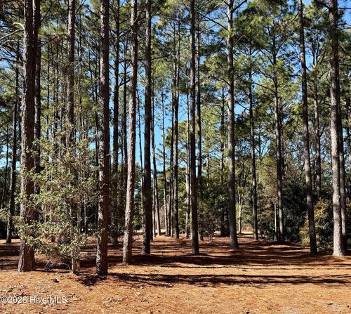 195 Erfie Dr N, Pinebluff, NC, 28373-8298 | Card Image