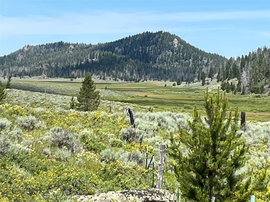 Land in Butte