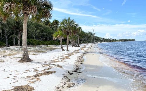0 Se Highway 357, Old Town, FL, 32680 | Card Image