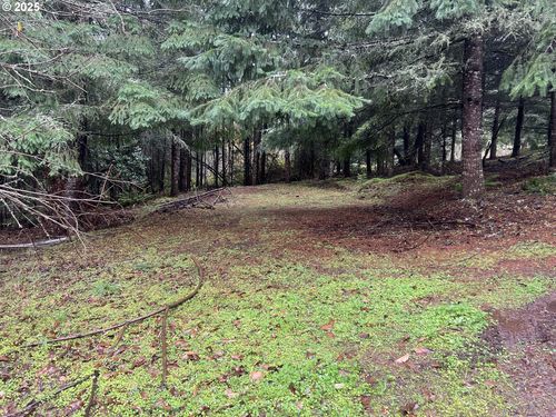 82964 Hungry Hill Rd, Creswell, OR, 97426-9868 | Card Image