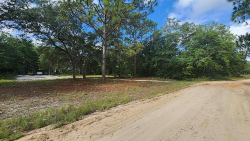 0 Britt St, Interlachen, FL, 32148 | Card Image