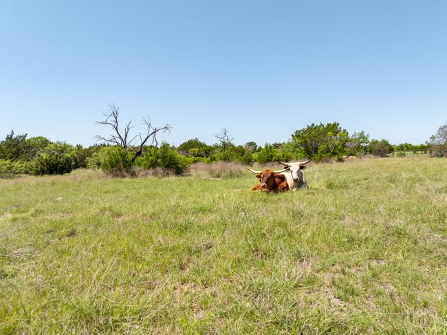 View of yard featuring a rural view | Image 7