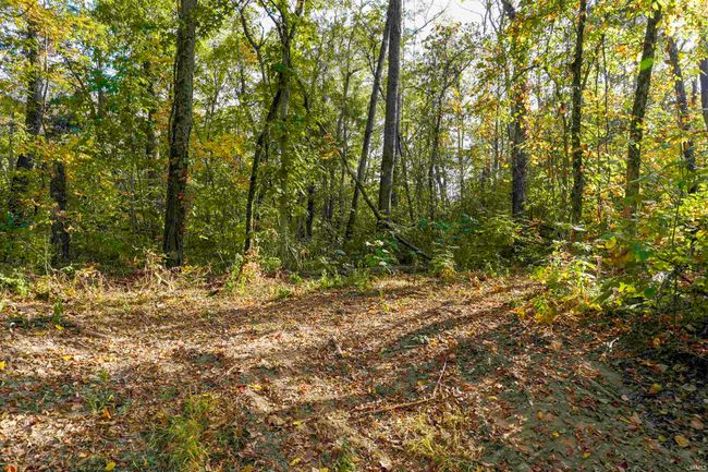 0 N Old State Road 25, Home with 0 bedrooms, 0 bathrooms and null parking in Delphi IN | Image 8