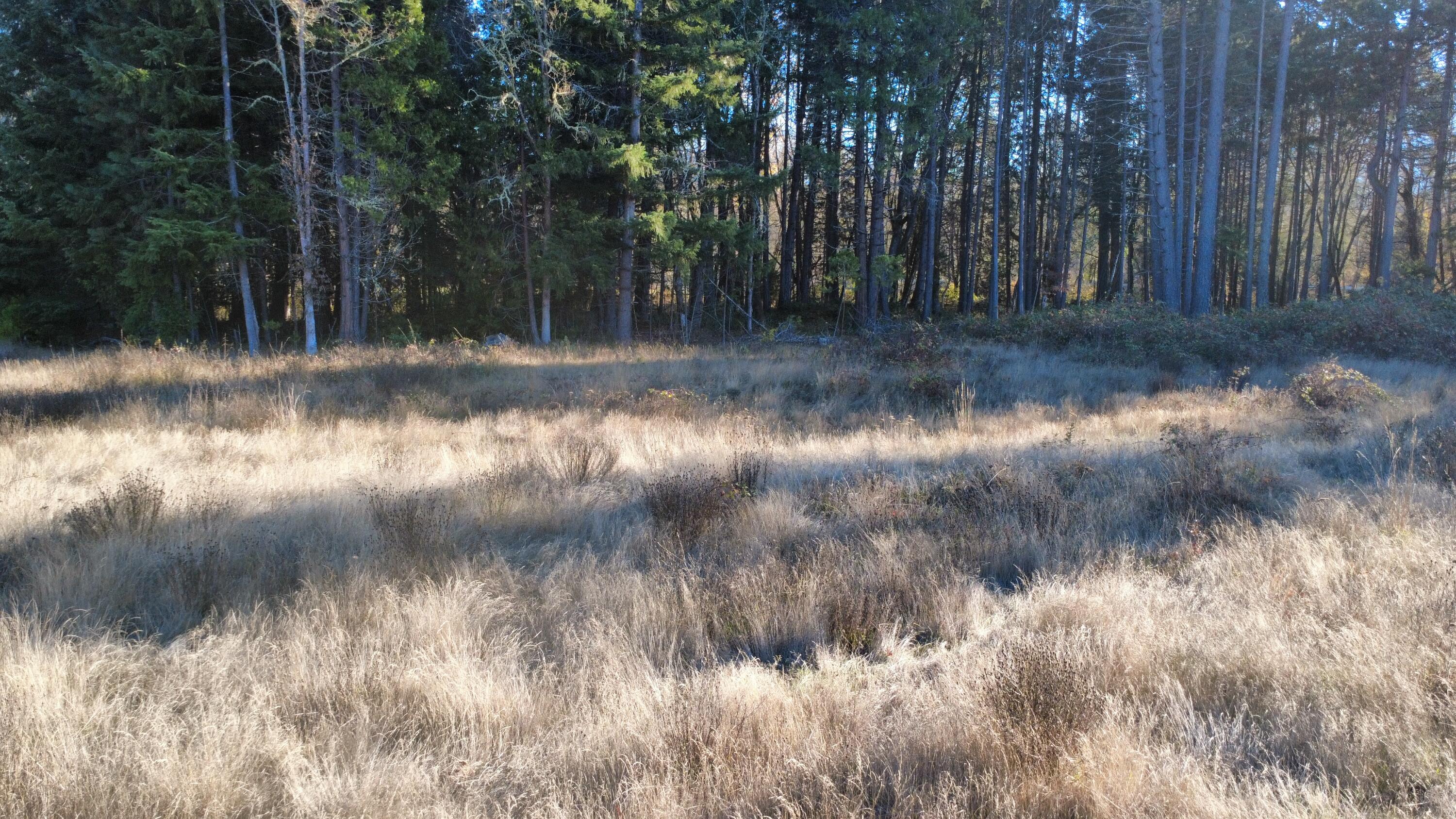Land in Azalea 4