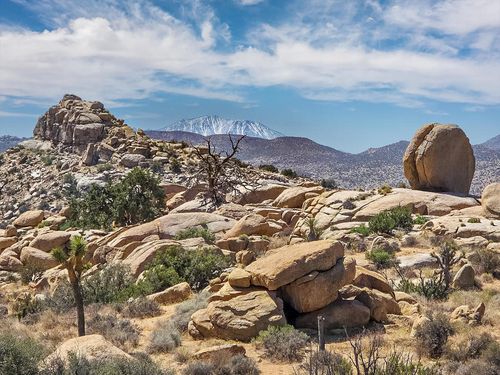 101 Hondo St, Pioneertown, CA, 92268 | Card Image