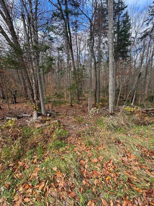 00 Hawk Spur Rd, Plymouth, VT, 05056 | Card Image