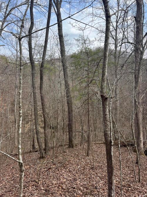 9999 Dreyfus Rd, Waco, KY, 40385-9525 | Card Image