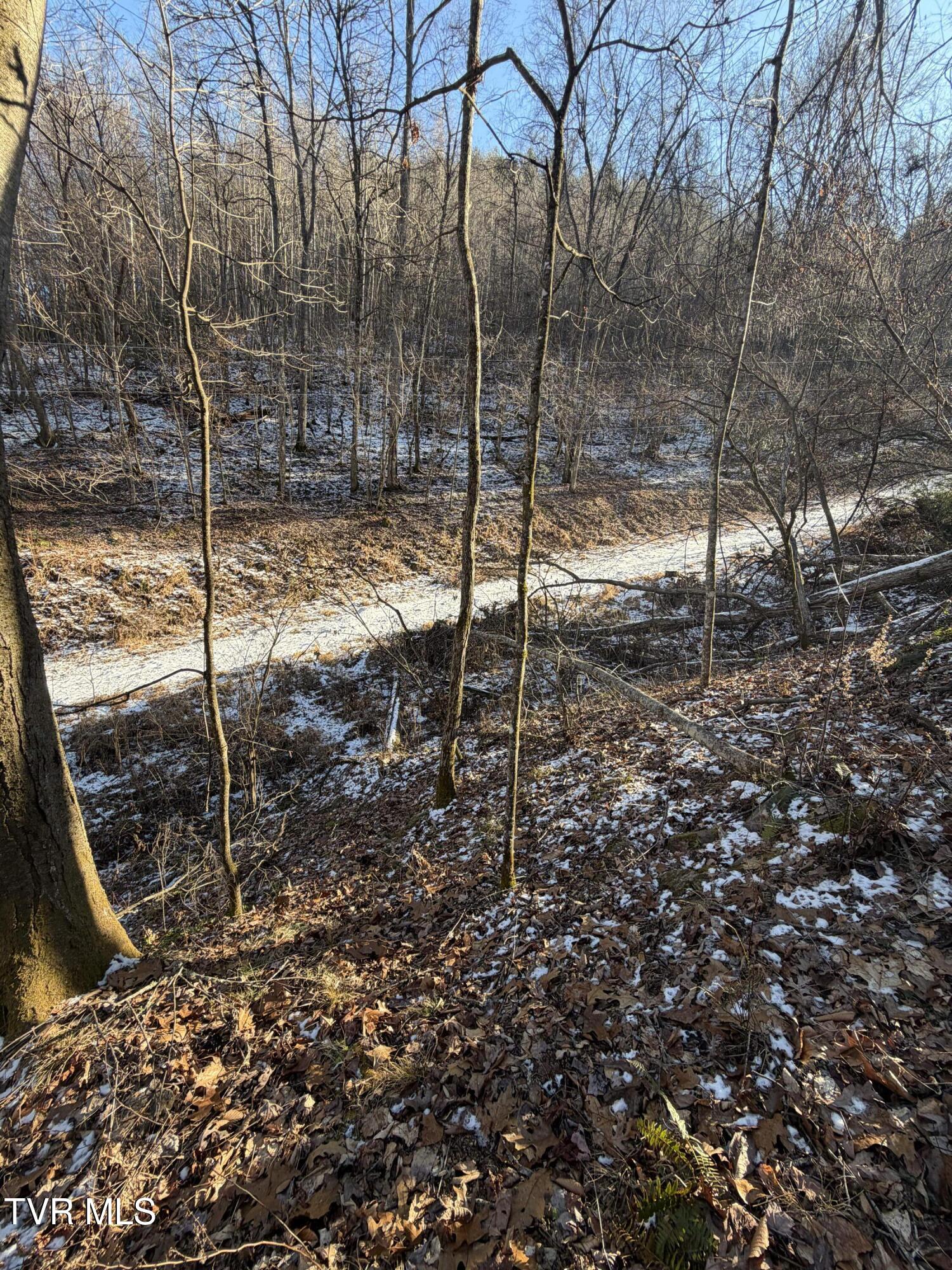 Land in Butler 3