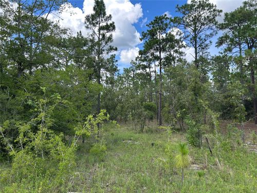TBD Se 26th St, Morriston, FL, 32668 | Card Image