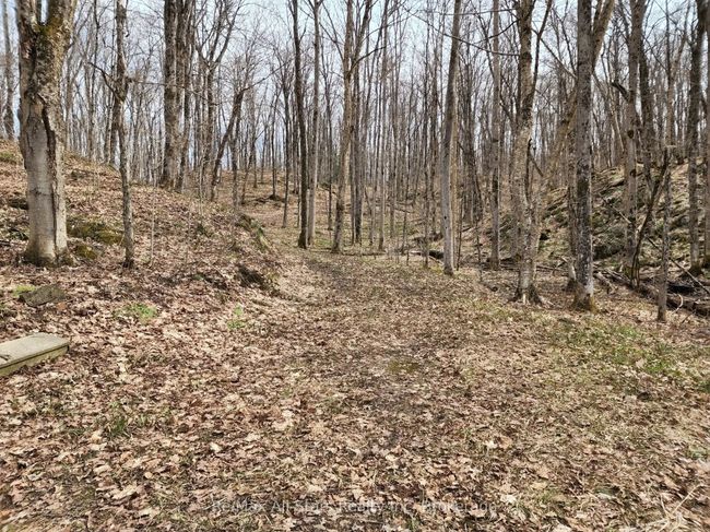 C - 781 Highway 520 Highway, Home with 0 bedrooms, 0 bathrooms and null parking in Whitestone ON | Image 16