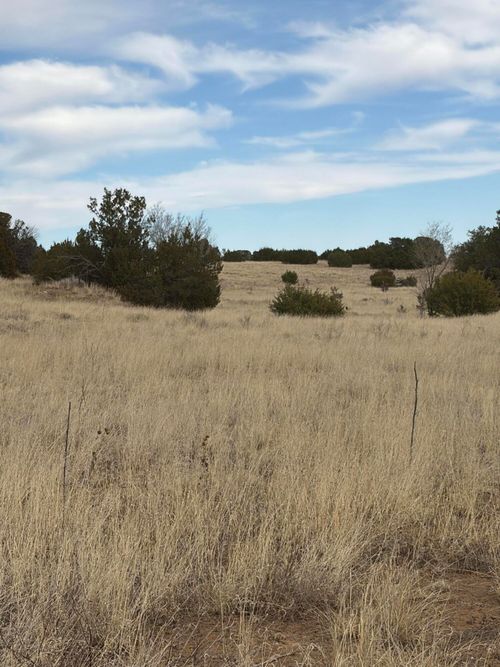 TBD Linda Vista Drive, Tajique, NM, 87016 | Card Image
