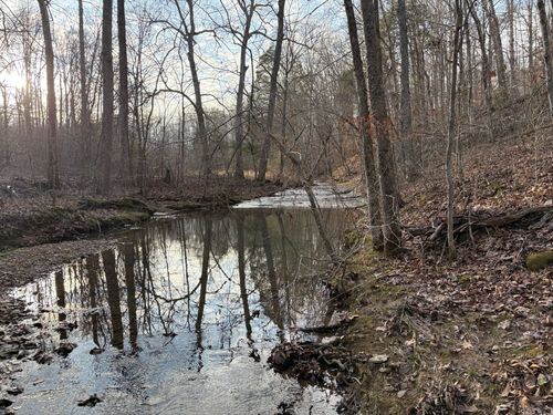 1007 Wood Ln, Greenbrier, TN, 37073-4779 | Card Image