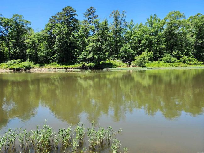 1011 Polk Road 38, House other with 2 bedrooms, 2 bathrooms and null parking in Hatfield AR | Image 26
