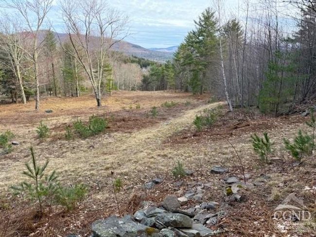 0 Campbell Rd, Home with 0 bedrooms, 0 bathrooms and null parking in Windham NY | Image 4