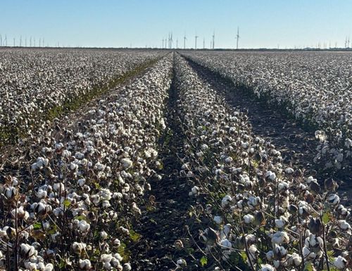 00 County Road 164, Weinert, TX, 76388 | Card Image