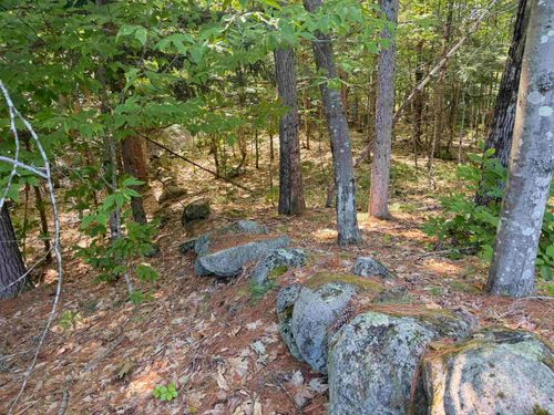Map 218 Lot 67 Alden Washburn Drive, Tamworth, NH, 03886 | Card Image