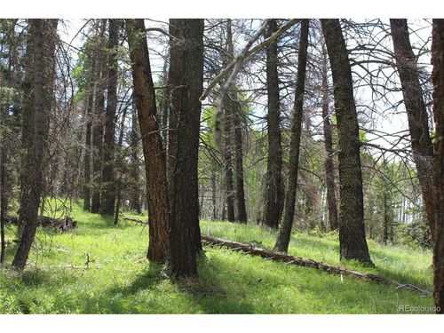 1650 Spruce Rd, Cimarron, CO, 81220-9561 | Card Image