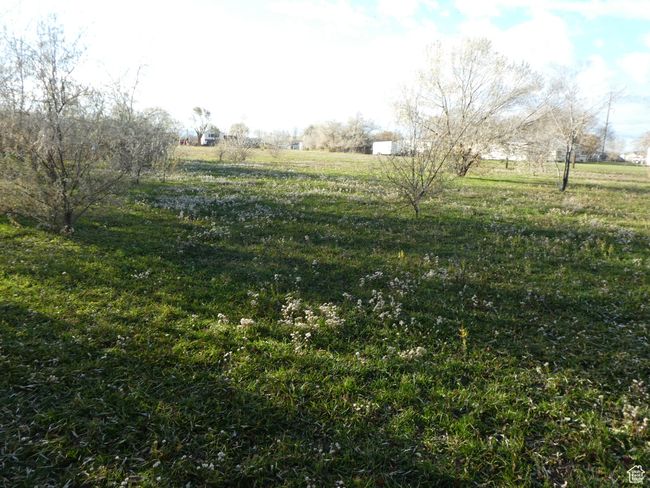 View of yard featuring a view of countryside | Image 18