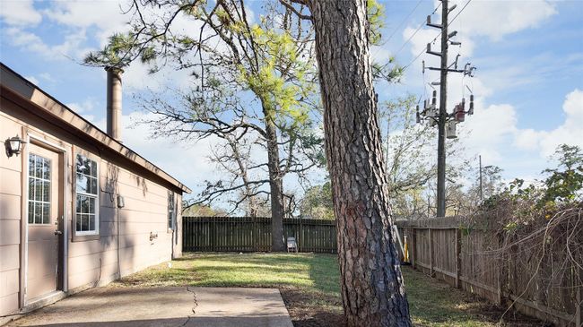 Back yard | Image 33