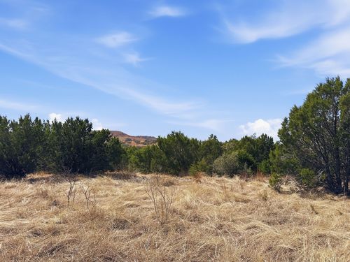 Lot 8 Ph 5 Flint Rock Court Road, Evant, TX, 76525 | Card Image