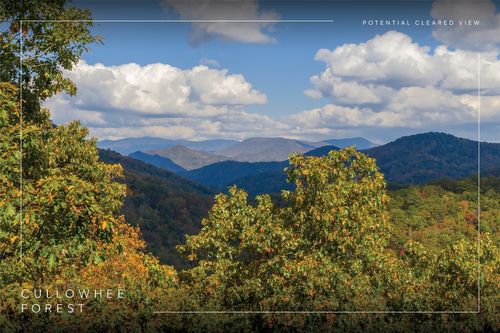 54 Cullowhee Forest Rd, Cullowhee, NC, 28723 | Card Image