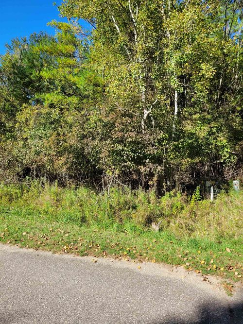 TBD LOT 58 W Berkshire Drive, Butman Township, MI, 48624 | Card Image