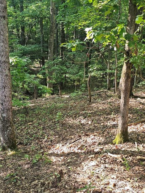 BLOCK 21 LOT 01 Juniper Trl, Waverly Hall, GA, 31831-4632 | Card Image