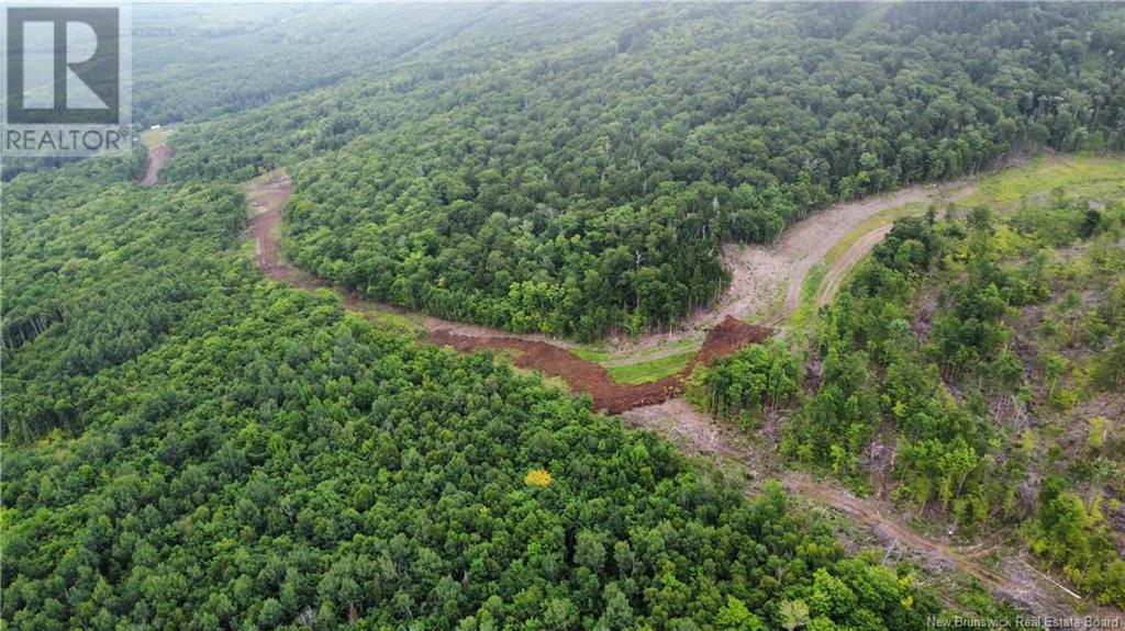 Land in Central Hainesville 5
