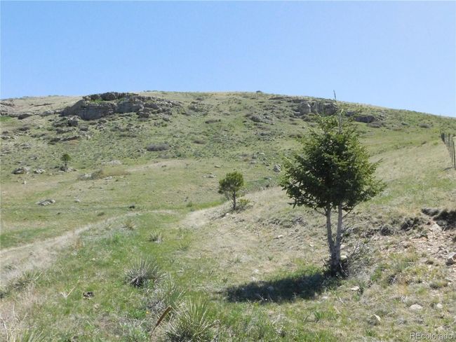 11972 Haskell Creek Rd, Home with 0 bedrooms, 0 bathrooms and null parking in Larkspur CO | Image 24