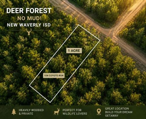 104 Coyote Run, New Waverly, TX, 77358 | Card Image