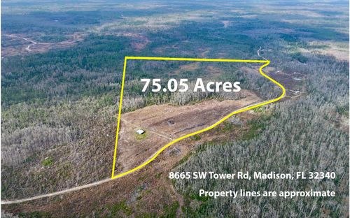 8665 Sw Tower Rd, MADISON, FL, 32340 | Card Image