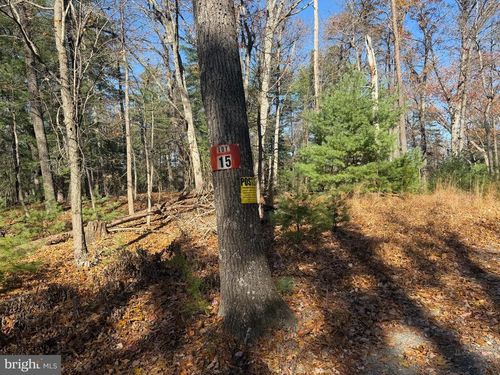 50 N River Mills Rd, CAPON BRIDGE, WV, 26711 | Card Image