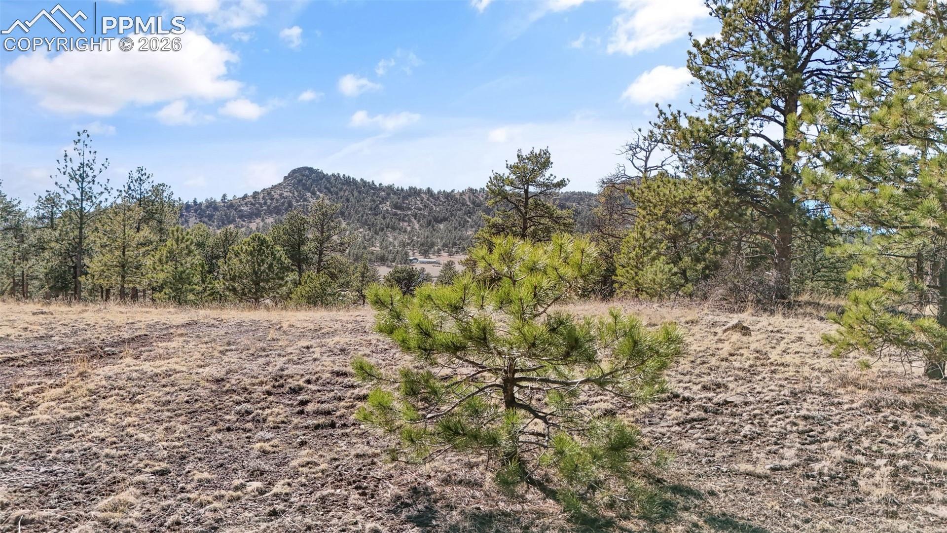 Land in Florissant 5