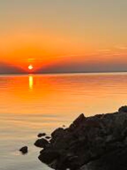 164 Albacore Rd, Bonneau, SC, 29431-8414 | Card Image