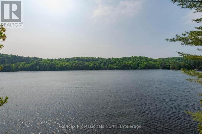 1024 Albert Lane E, House other with 5 bedrooms, 3 bathrooms and 3 parking in Algonquin Highlands (Sherborne) ON | Image 8