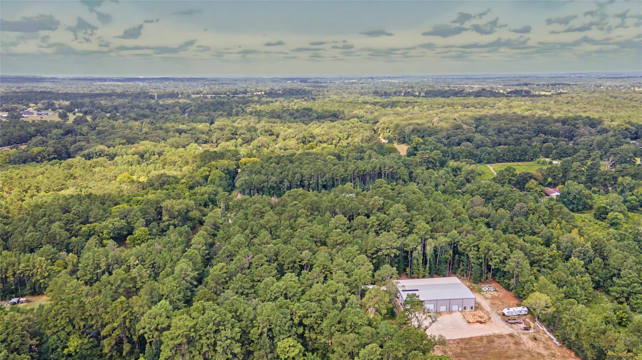 Land in Willis 5