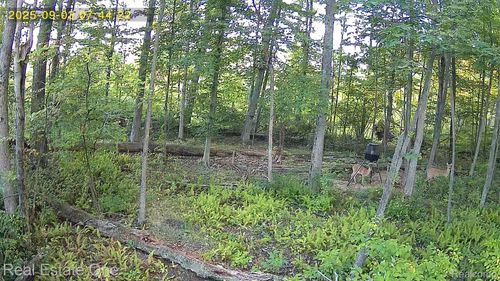 12050 N T Dr, Bellevue, MI, 49021 | Card Image