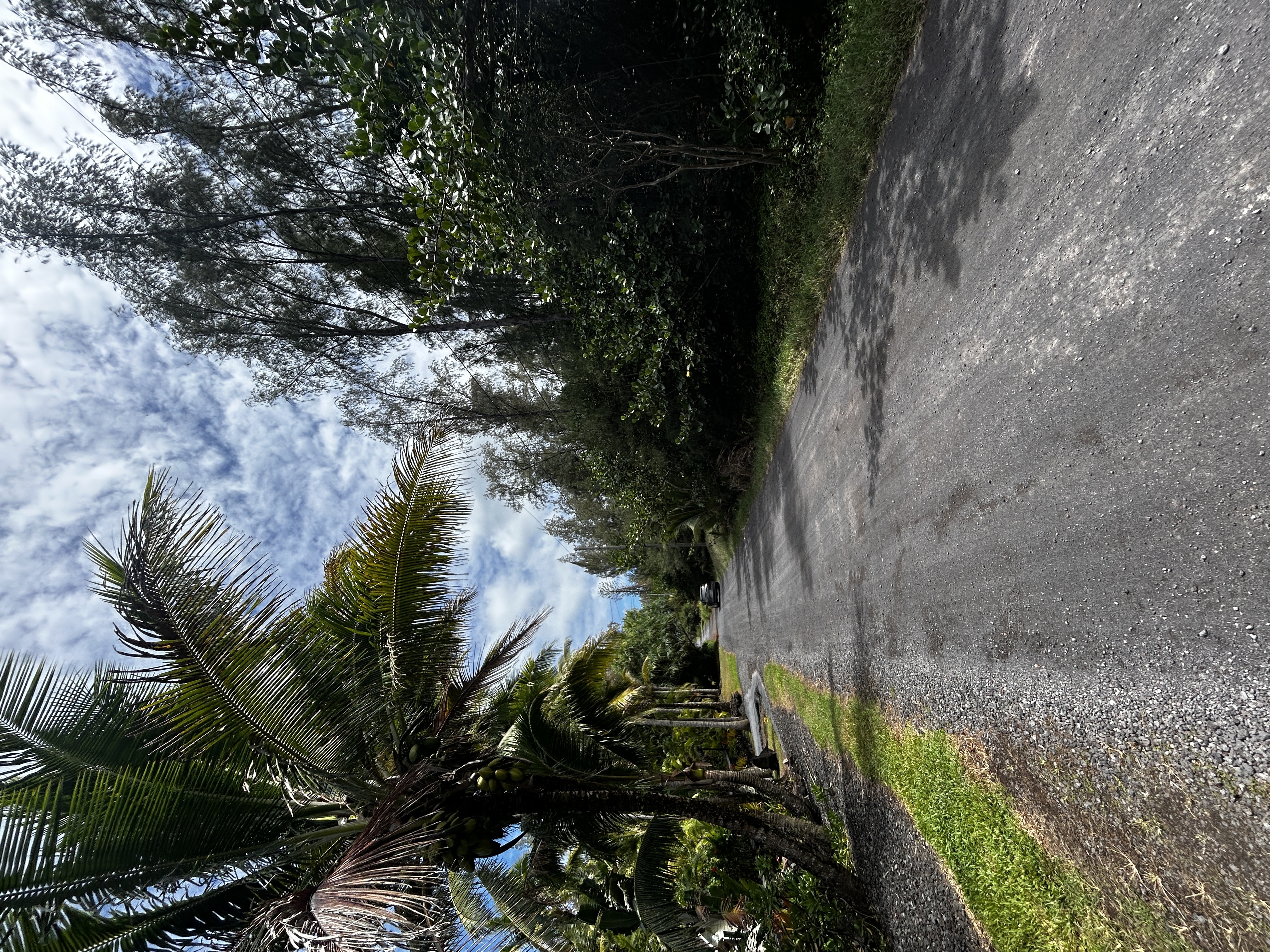 Land in Keaau 5
