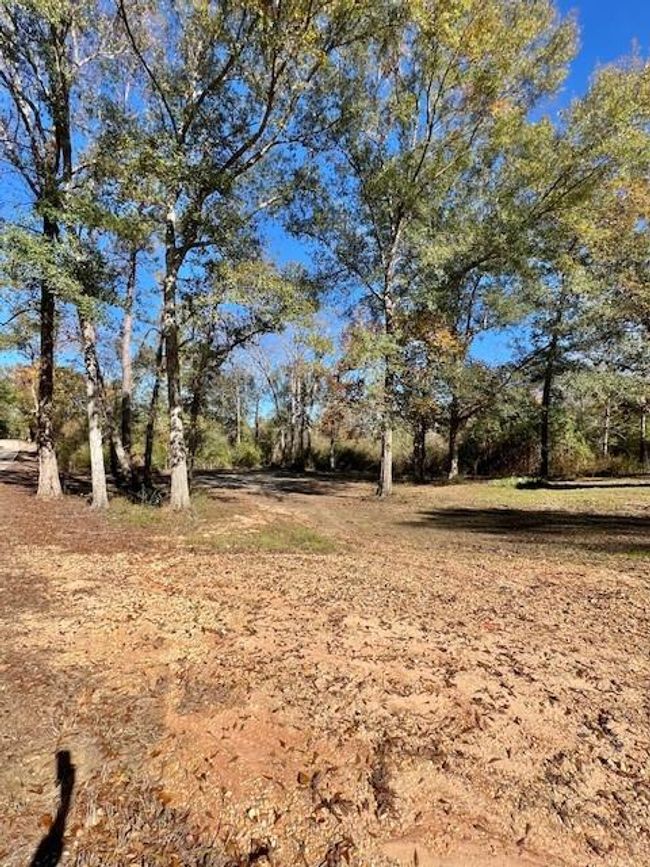 62436 Friendship Church Rd, House other with 2 bedrooms, 2 bathrooms and null parking in Amite LA | Image 11