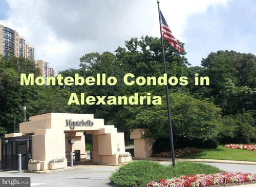 607-5901 Mount Eagle Dr, ALEXANDRIA, VA, 22303-2507 | Card Image
