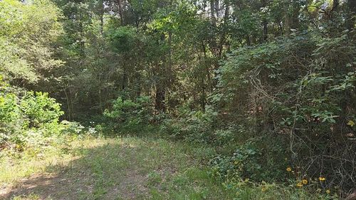 5 Cedar Pl, Plantersville, TX, 77363 | Card Image