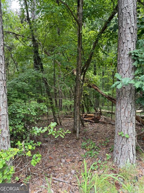 LOT 79 Island Creek Dr W, Sparta, GA, 31087-6229 | Card Image