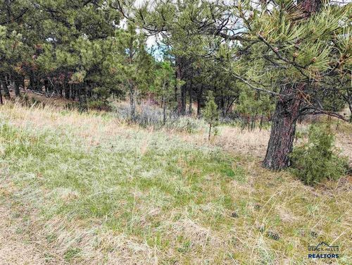 TBD Lot 3 Argyle Rd, Hot Springs, SD, 57747 | Card Image