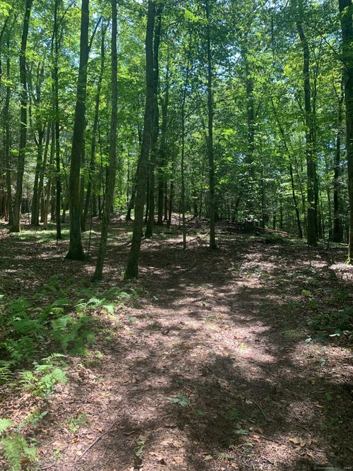 Lot 1 Chalybes Rd W, Roxbury, CT, 06783-1418 | Card Image