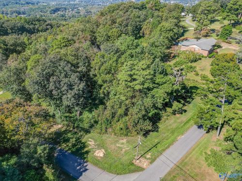 Lot 24 Windsor Drive, Guntersville, AL, 35976 | Card Image