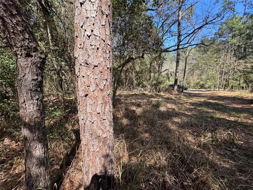 LOT 107 Whisperwood Dr, Onalaska, TX, 77360-5809 | Card Image